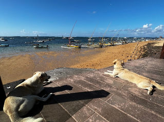 Things to do in Sanur Beach